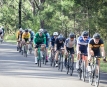 Bankstown Sports Cycling Club