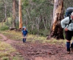 Bushwalking Clubs NSW Inc, Confederation of